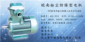 粉塵防爆電機(jī) 粉塵防爆電機(jī)
