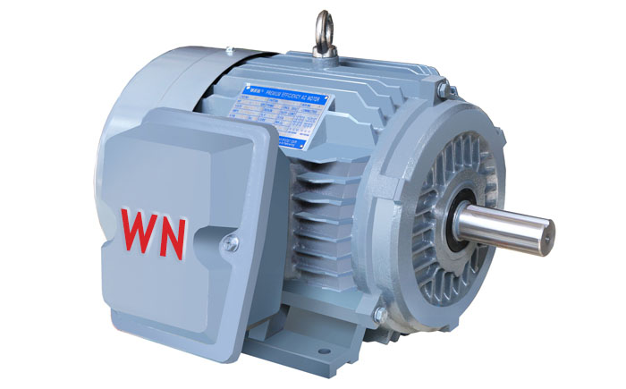 NE系列高效高轉(zhuǎn)矩三相異步電動機