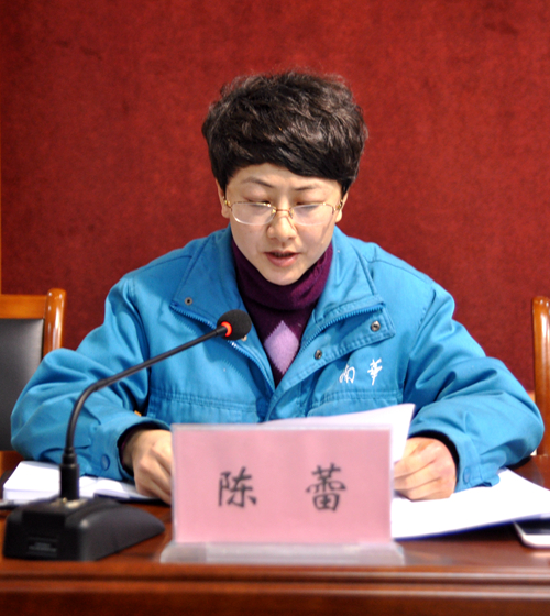 陳蕾作《關于轉增股本的議案報告》 陳蕾作《關于轉增股本的議案報告》