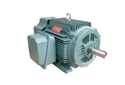 NEP系列超高效率三相異步電動機(jī) NEP系列超高效率三相異步電動機(jī)