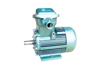 YFB系列粉塵防爆型三相異步電動(dòng)機(jī)(已停產(chǎn)) YFB系列粉塵防爆型三相異步電動(dòng)機(jī)(已停產(chǎn))