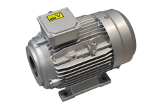 YYVF2系列新能源汽車(chē)助力轉(zhuǎn)向泵電機(jī) YYVF2系列新能源汽車(chē)助力轉(zhuǎn)向泵電機(jī)