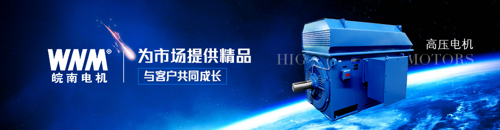 高壓電機 高壓電機